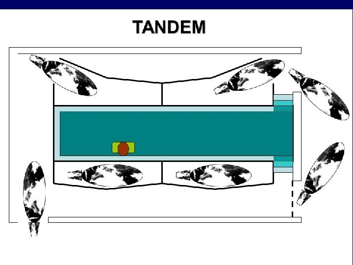 MANEJO REPRODUCTIVO 