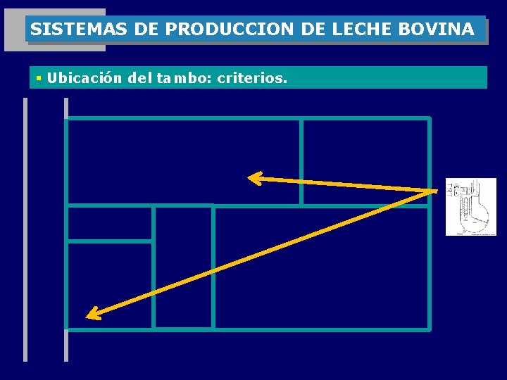 SISTEMAS DE PRODUCCION DE LECHE BOVINA § Ubicación del tambo: criterios. 