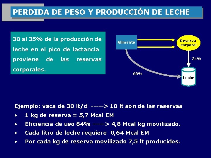 PERDIDA DE PESO Y PRODUCCIÓN DE LECHE 30 al 35% de la producción de