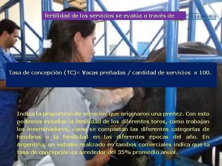 : fertilidad de los servicios se evalúa a través de Tasa de concepción (TC)=