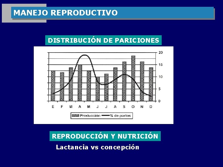 MANEJO REPRODUCTIVO DISTRIBUCIÓN DE PARICIONES REPRODUCCIÓN Y NUTRICIÓN Lactancia vs concepción 