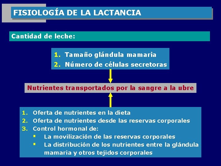 FISIOLOGÍA DE LA LACTANCIA Cantidad de leche: 1. Tamaño glándula mamaria 2. Número de