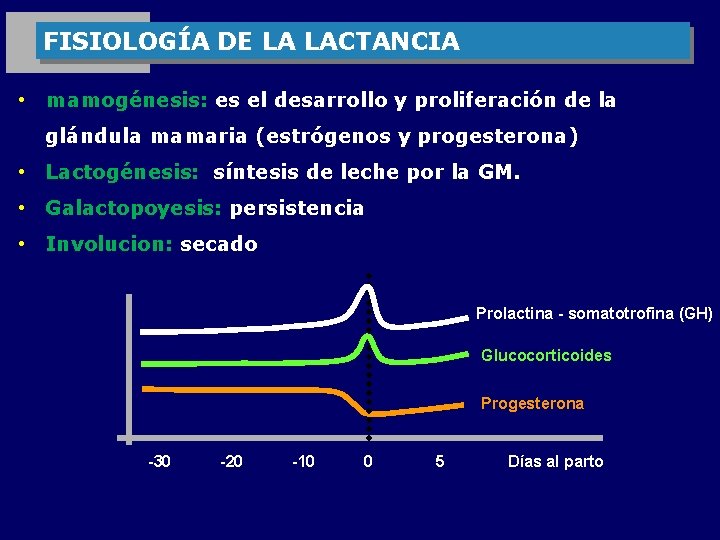 FISIOLOGÍA DE LA LACTANCIA • mamogénesis: es el desarrollo y proliferación de la glándula