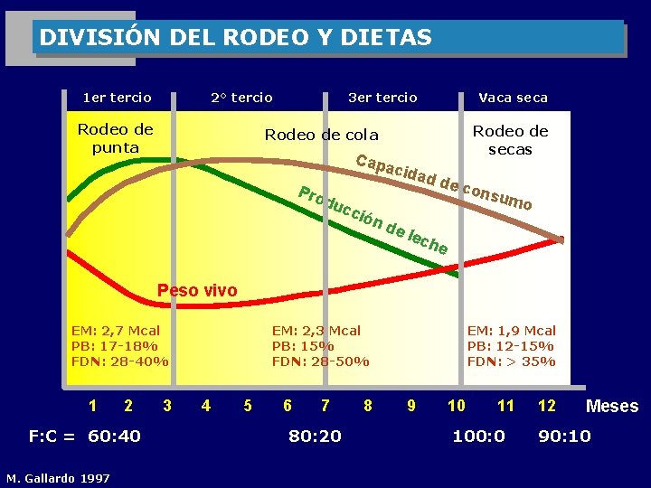 DIVISIÓN DEL RODEO Y DIETAS 1 er tercio 2° tercio Rodeo de punta 3