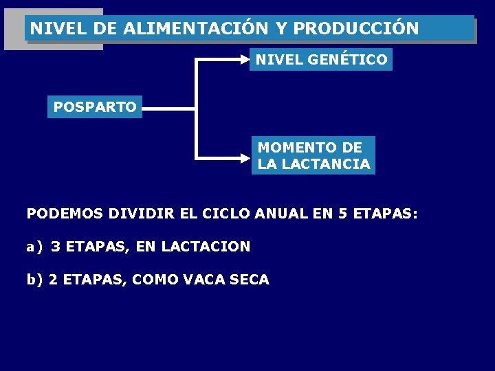 NIVEL DE ALIMENTACIÓN Y PRODUCCIÓN NIVEL GENÉTICO POSPARTO MOMENTO DE LA LACTANCIA PODEMOS DIVIDIR