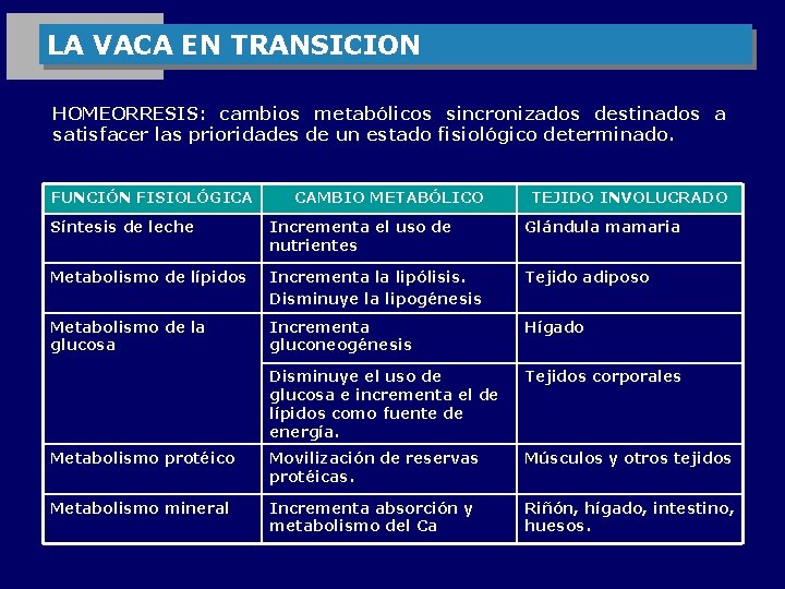 LA VACA EN TRANSICION HOMEORRESIS: cambios metabólicos sincronizados destinados a satisfacer las prioridades de