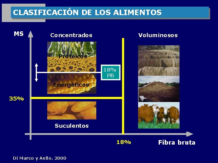 CLASIFICACIÓN DE LOS ALIMENTOS MS Concentrados Voluminosos Protéicos 18% PB Energéticos 35% Suculentos 18%