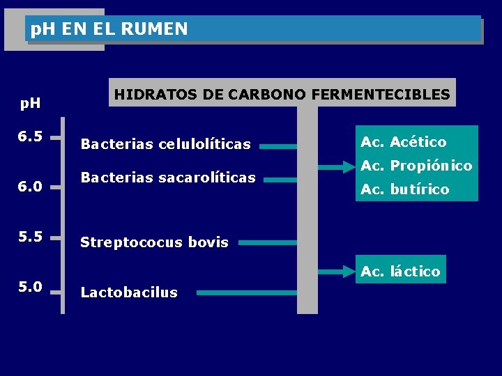 p. H EN EL RUMEN p. H 6. 5 6. 0 5. 5 5.