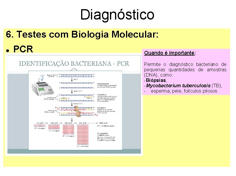 Diagnóstico 6. Testes com Biologia Molecular: PCR Quando é importante: Permite o diagnóstico bacteriano