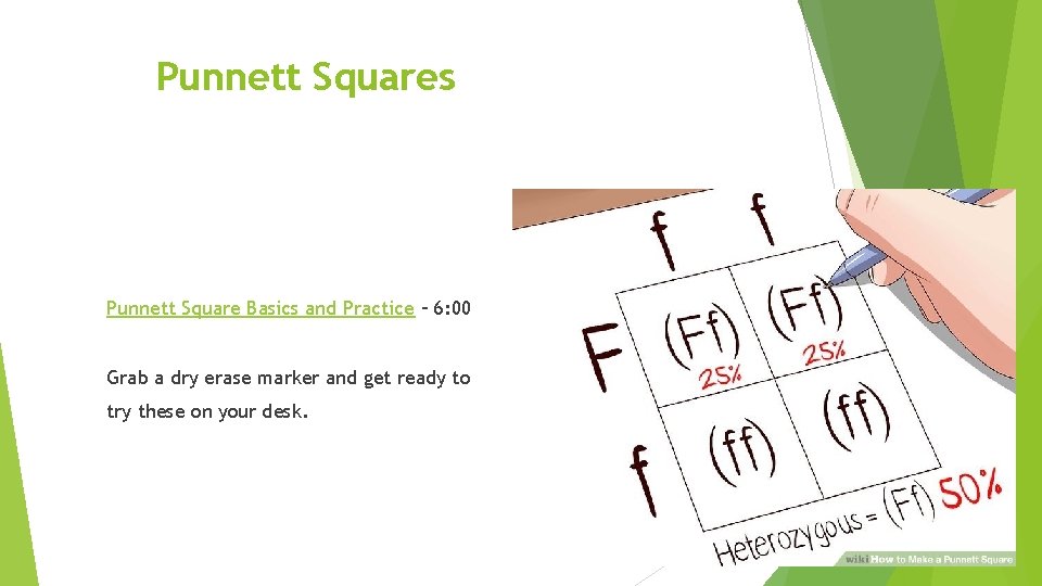 Punnett Squares Punnett Square Basics and Practice – 6: 00 Grab a dry erase