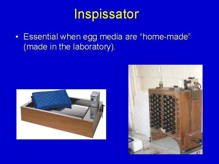 Inspissator • Essential when egg media are “home-made” (made in the laboratory). 47 Inspissator • Essential when egg media are “home-made” (made in the laboratory). 47
