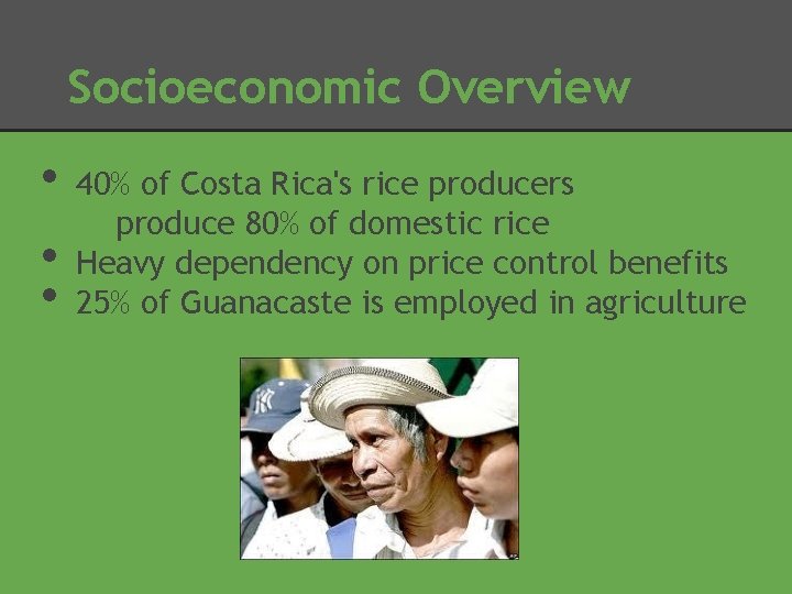 Socioeconomic Overview • • • 40% of Costa Rica's rice producers produce 80% of