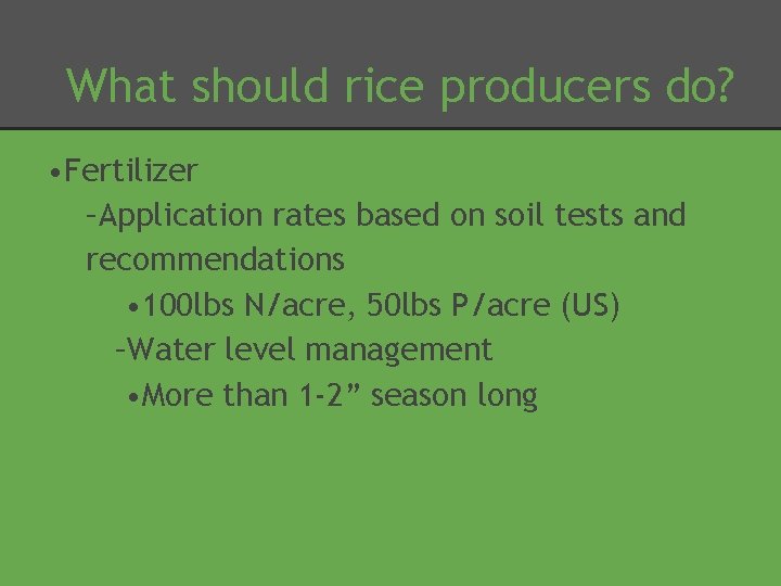 What should rice producers do? • Fertilizer –Application rates based on soil tests and