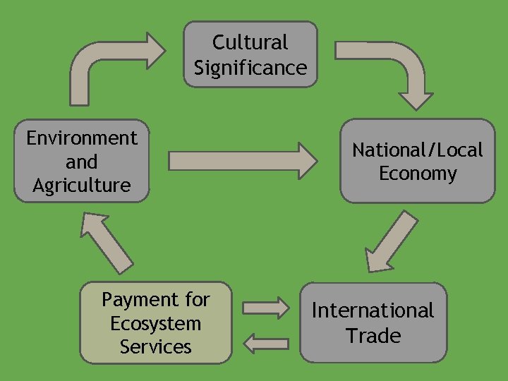 Cultural Significance Environment and Agriculture Payment for Ecosystem Services National/Local Economy International Trade 