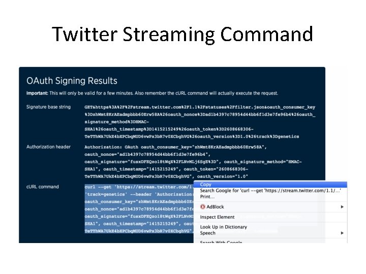 Twitter Streaming Command 