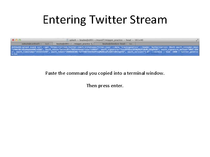 Entering Twitter Stream Paste the command you copied into a terminal window. Then press