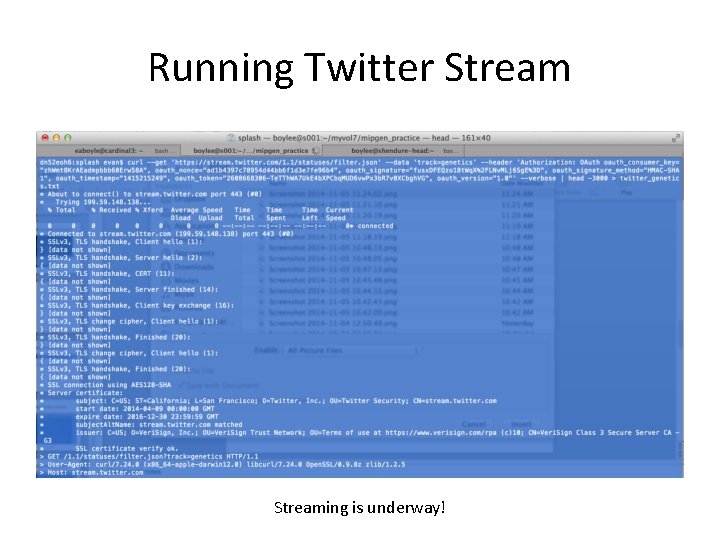 Running Twitter Streaming is underway! 