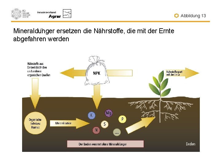 Abbildung 13 Mineraldu nger ersetzen die Nährstoffe, die mit der Ernte abgefahren werden 