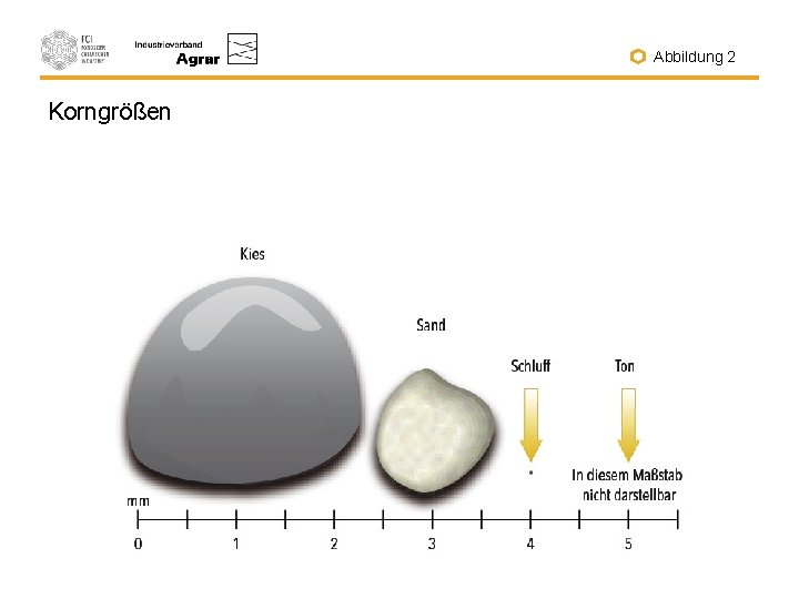 Abbildung 2 Korngrößen 