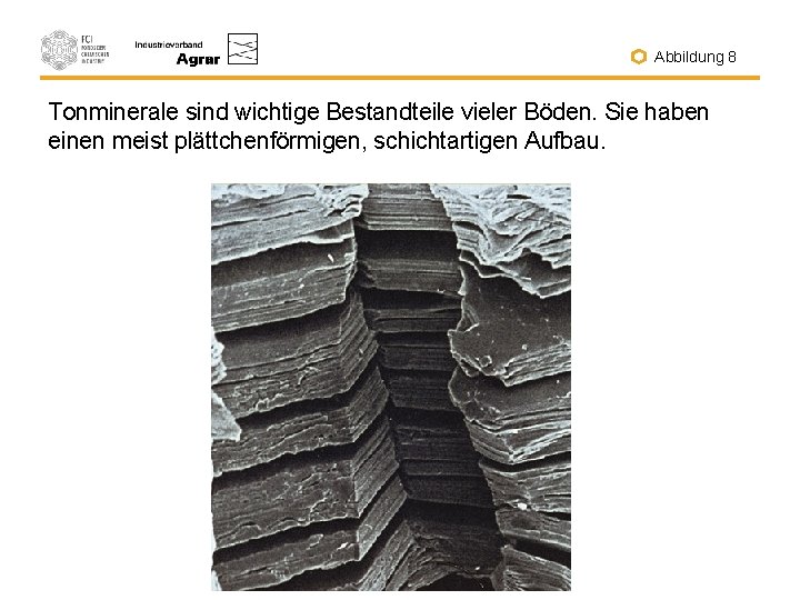 Abbildung 8 Tonminerale sind wichtige Bestandteile vieler Böden. Sie haben einen meist plättchenförmigen, schichtartigen