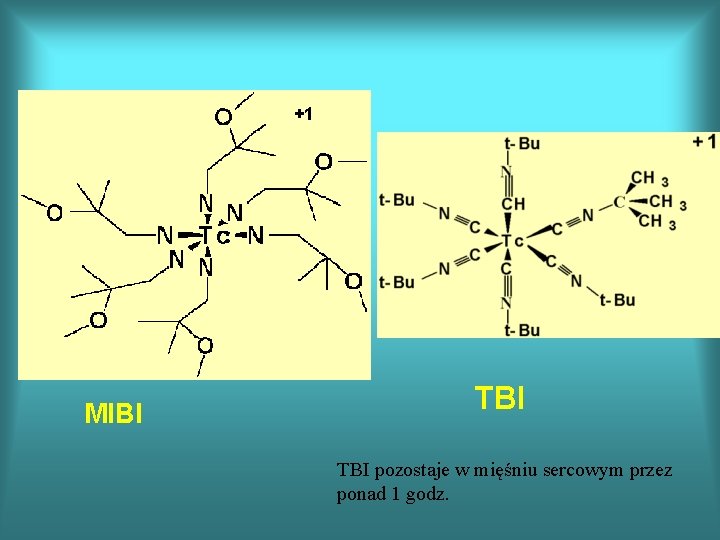 +1 MIBI TBI pozostaje w mięśniu sercowym przez ponad 1 godz. 