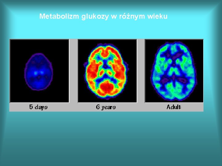 Metabolizm glukozy w różnym wieku 