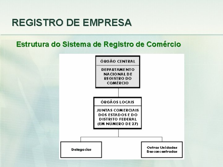 REGISTRO DE EMPRESA Estrutura do Sistema de Registro de Comércio 