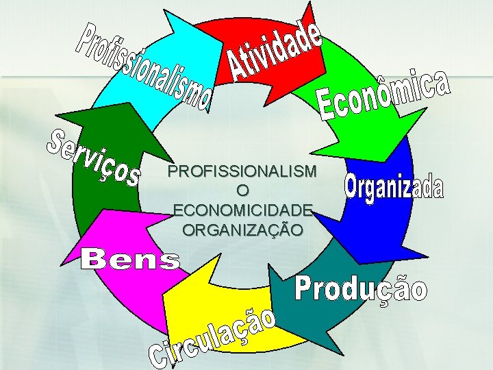 PROFISSIONALISM O ECONOMICIDADE ORGANIZAÇÃO 