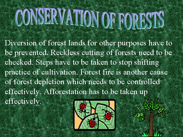 Diversion of forest lands for other purposes have to be prevented. Reckless cutting of