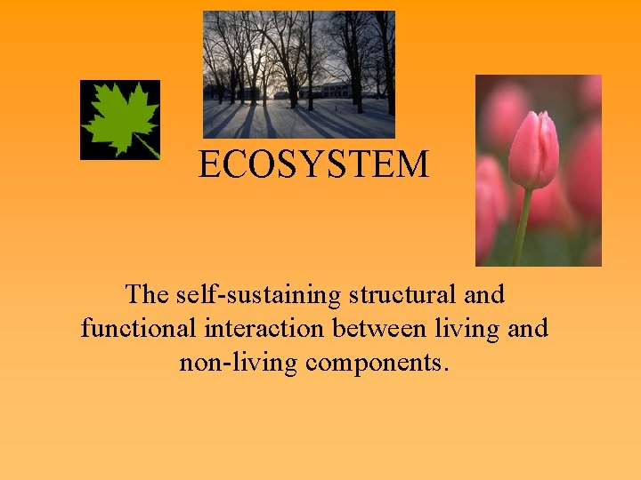 ECOSYSTEM The self-sustaining structural and functional interaction between living and non-living components. 