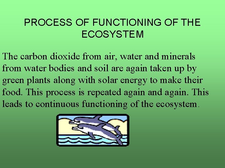 PROCESS OF FUNCTIONING OF THE ECOSYSTEM The carbon dioxide from air, water and minerals