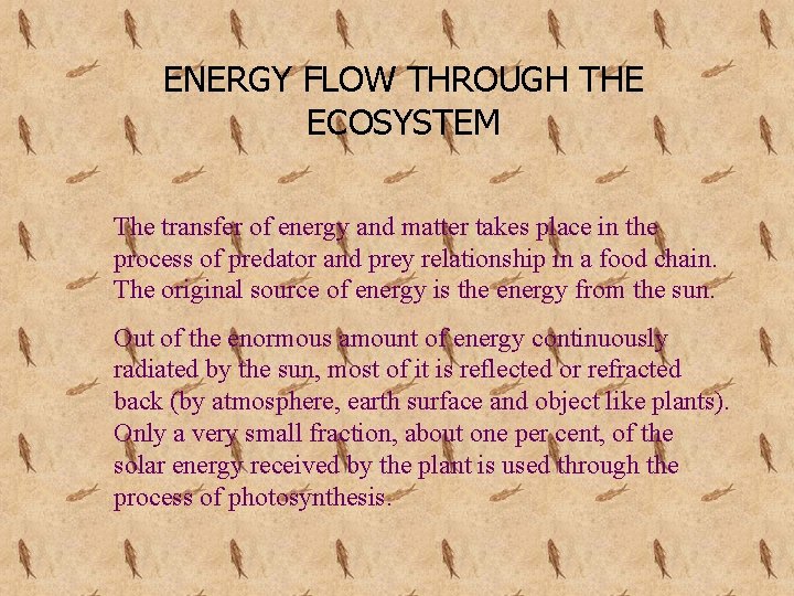 ENERGY FLOW THROUGH THE ECOSYSTEM The transfer of energy and matter takes place in
