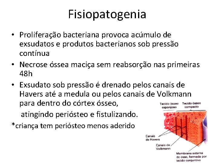 Fisiopatogenia • Proliferação bacteriana provoca acúmulo de exsudatos e produtos bacterianos sob pressão contínua