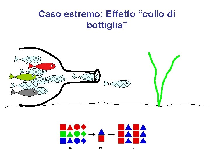 Caso estremo: Effetto “collo di bottiglia” 