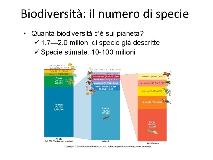 Biodiversità: il numero di specie • Quantà biodiversità c’è sul pianeta? ü 1. 7—