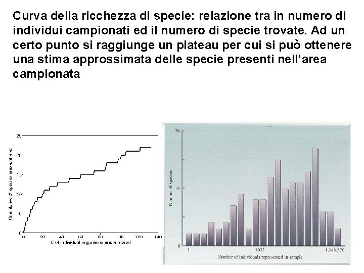 Curva della ricchezza di specie: relazione tra in numero di individui campionati ed il