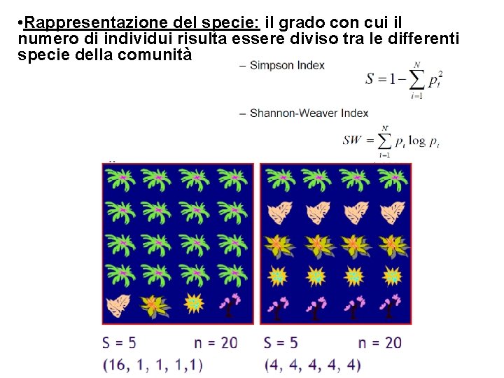  • Rappresentazione del specie: il grado con cui il numero di individui risulta