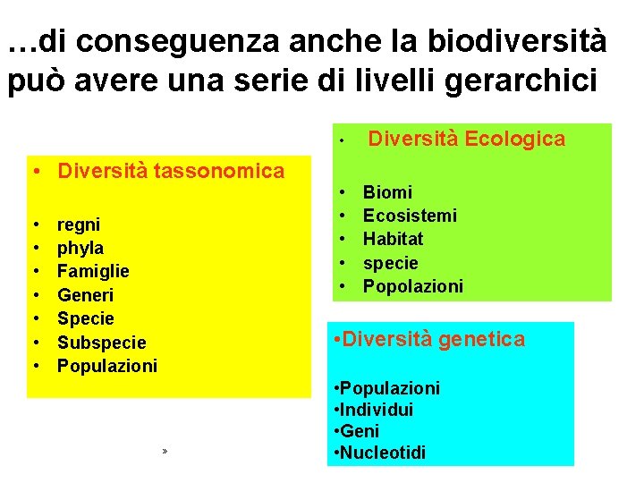 …di conseguenza anche la biodiversità può avere una serie di livelli gerarchici • Diversità