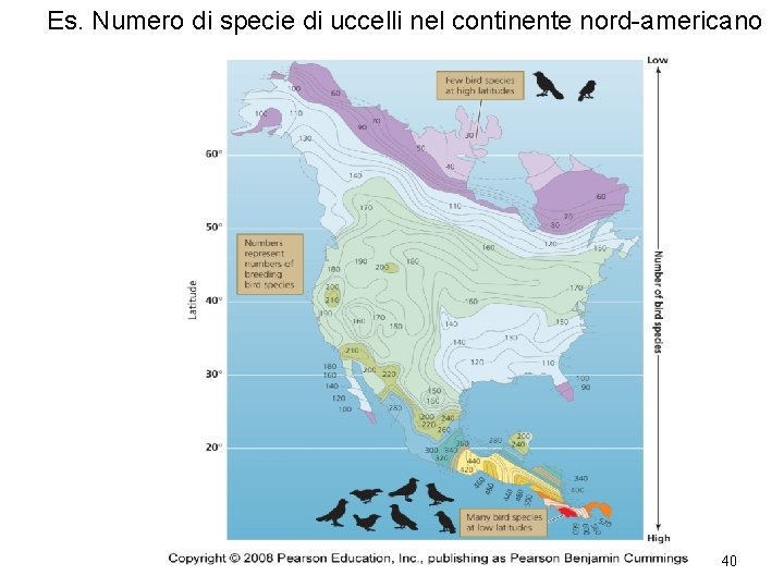 Es. Numero di specie di uccelli nel continente nord-americano 40 
