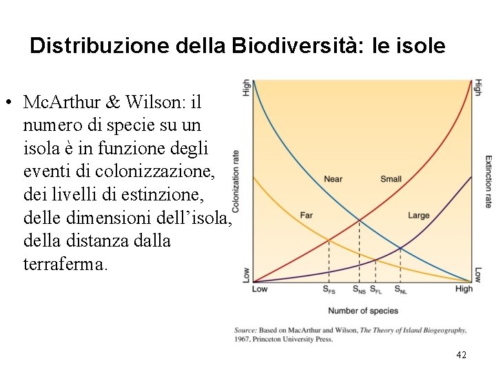 Distribuzione della Biodiversità: le isole • Mc. Arthur & Wilson: il numero di specie