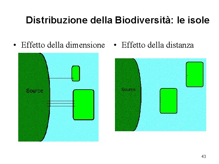Distribuzione della Biodiversità: le isole • Effetto della dimensione • Effetto della distanza 43