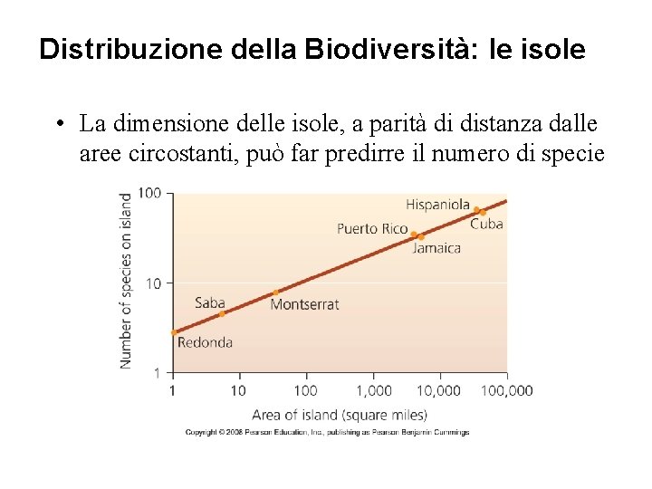 Distribuzione della Biodiversità: le isole • La dimensione delle isole, a parità di distanza