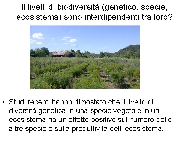 Il livelli di biodiversità (genetico, specie, ecosistema) sono interdipendenti tra loro? • Studi recenti