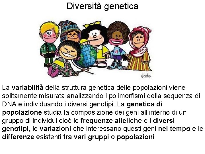 Diversità genetica La variabilità della struttura genetica delle popolazioni viene solitamente misurata analizzando i