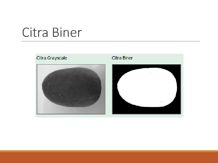 Citra Biner 
