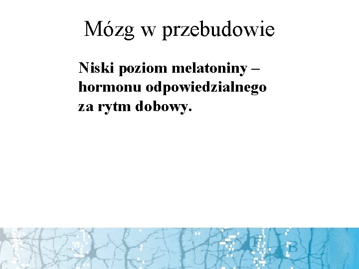 Mózg w przebudowie Niski poziom melatoniny – hormonu odpowiedzialnego za rytm dobowy. 