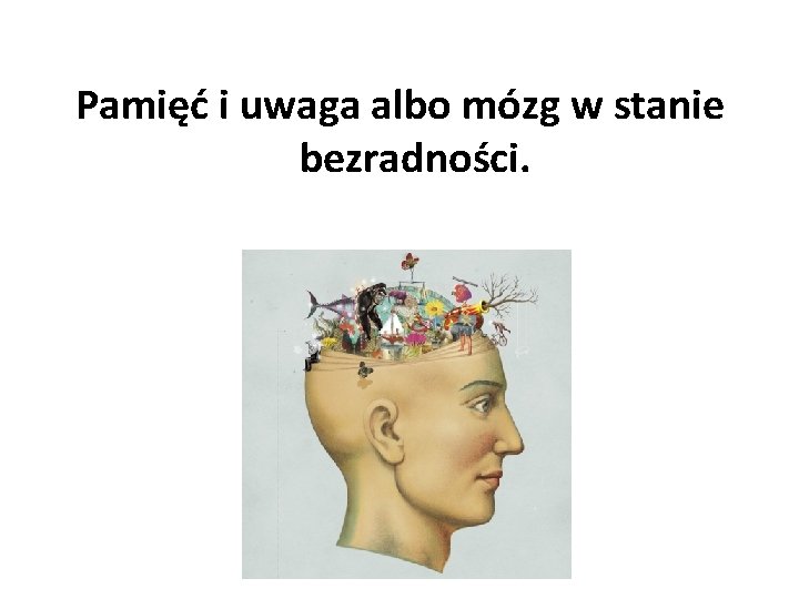 Pamięć i uwaga albo mózg w stanie bezradności. 