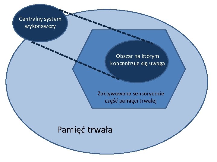 Centralny system wykonawczy Obszar na którym koncentruje się uwaga Zaktywowana sensorycznie część pamięci trwałej