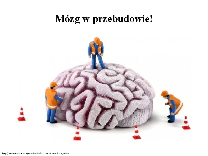 Mózg w przebudowie! http: //www. usatoday. com/news/health/2007 -04 -04 -teen-brain_N. htm 