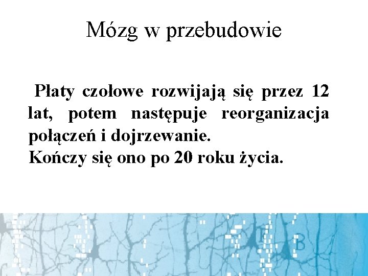 Mózg w przebudowie Płaty czołowe rozwijają się przez 12 lat, potem następuje reorganizacja połączeń